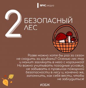 2 лес